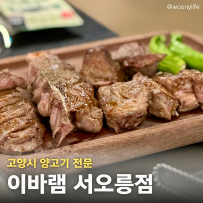 고양 이바램 대표후기 이미지 1